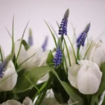 Close up van decoratieve bloemen in de kleuren wit en paars tussen de groene bladeren