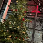 Kerstboom op het binnenplein met gouden en rode ornamenten